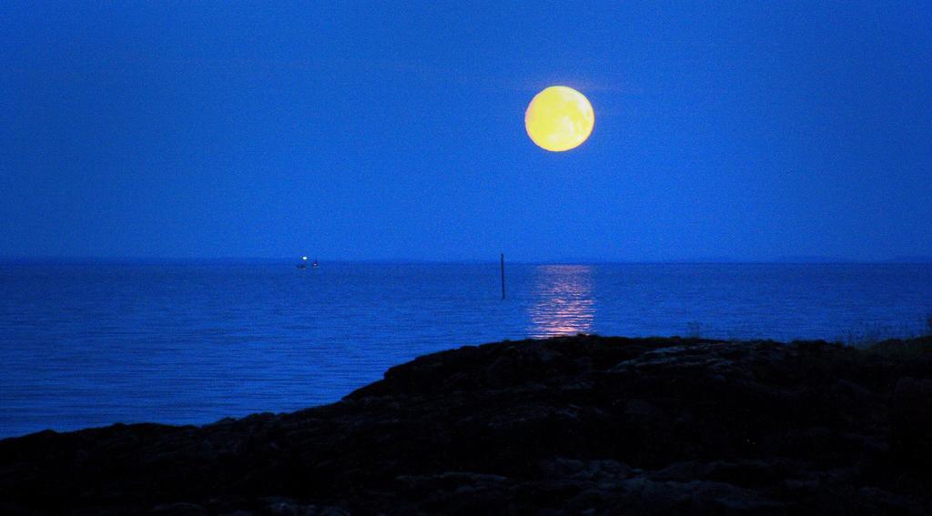 Cape East Homestay Ytre Kiberg Dış mekan fotoğraf